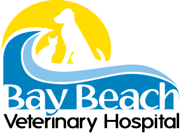 Logo 15
